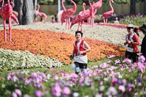 BIB: 
                            <button type="button" onclick="openModal(27793490)" class="btn btn-primary btn-sm float-right btn-popup" data-toggle="modal" data-target=".modal-high-quality">
                        <i class="fas fa-shopping-cart"></i> Add to Cart
                    </button>
                                            <button type="button" onclick="isThisMe(27793490, true)" class="btn btn-success btn-sm float-right btn-popup btn-isme hidden" data-toggle="tooltip" data-placement="bottom" title="นี่คือรูปของคุณใช่ไหม คลิกที่นี่เพื่อเอาเข้าอัลบั้ม">
                        <i class="fas fa-plus"></i> Add to album
                    </button>
                    <button type="button" onclick="isThisMe(27793490, false)" class="btn btn-warning btn-sm float-right btn-popup btn-isnotme hidden">
                        <i class="fas fa-ban"></i> Remove from album
                    </button>